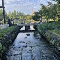名古屋冷門景點推薦：德川園的靜謐之美