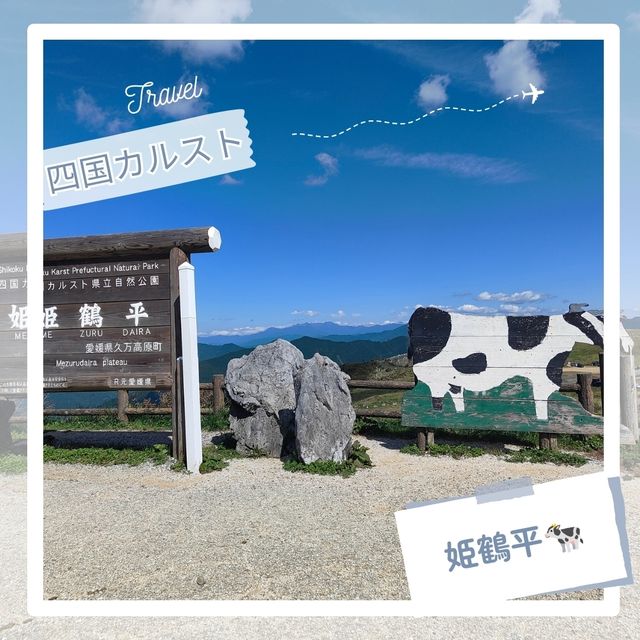 【日本のスイス？！】四国カルスト🏞️