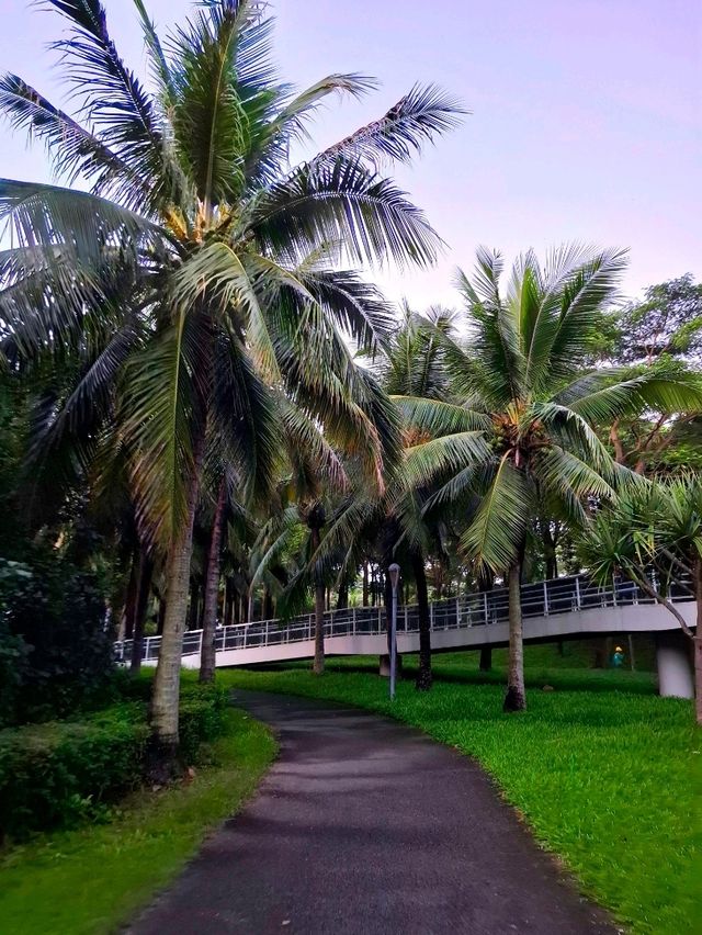 Sunrise at Shenzhen Bay Park