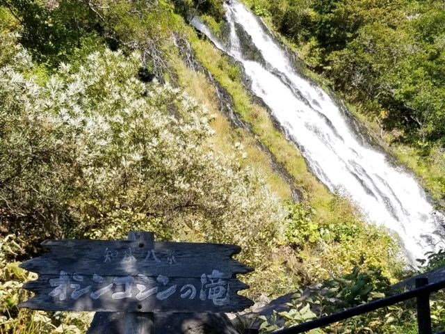 【北海道】世界自然遺産の知床の事を知っとこう！！