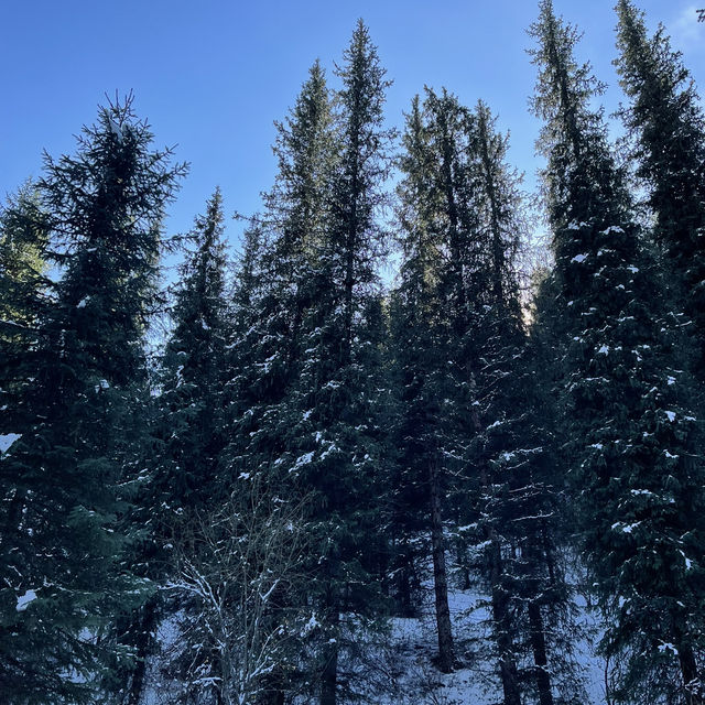 Back to nature at Almaty! 