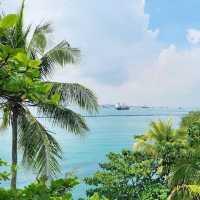 The Palawan