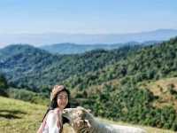 อาข่า ฟาร์มวิลล์ (Akha FarmVille)