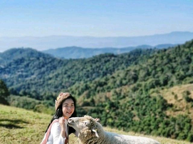 อาข่า ฟาร์มวิลล์ (Akha FarmVille)