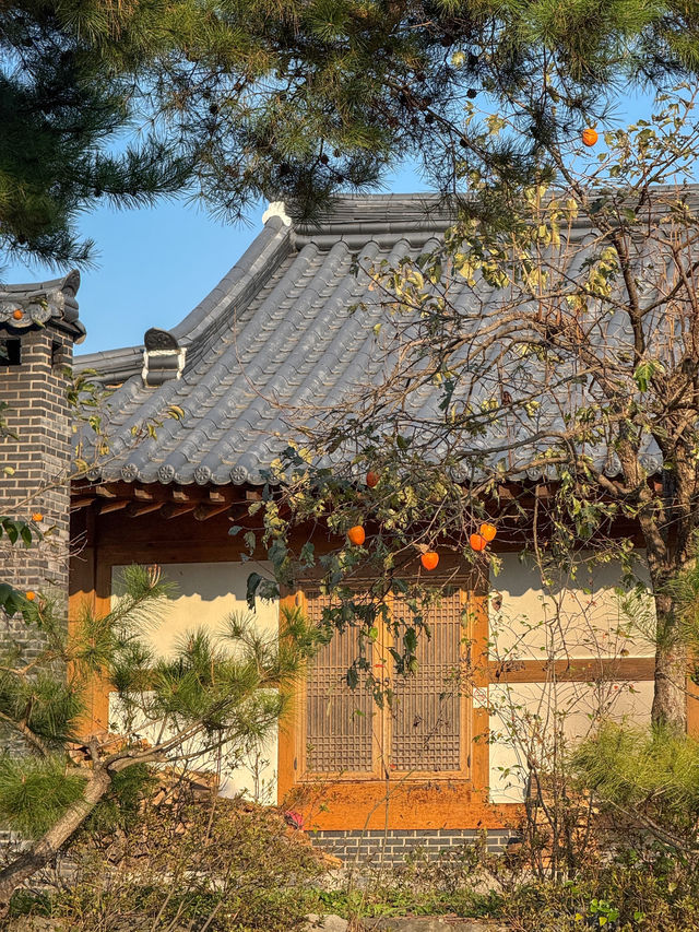 조용히 산책하며 힐링하기 좋은 ‘공주 한옥마을’
