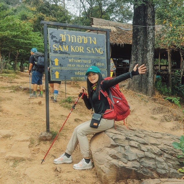 เดินป่าพิชิตภูกระดึง - จ.เลย