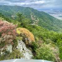 大邱市内を一望‼️アッ山ケーブルカー＊アッ山展望台