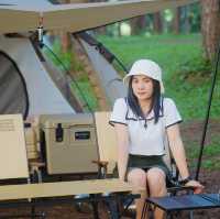 ภูหินร่องกล้า - ลานกางเต็นท์กลางป่าสน