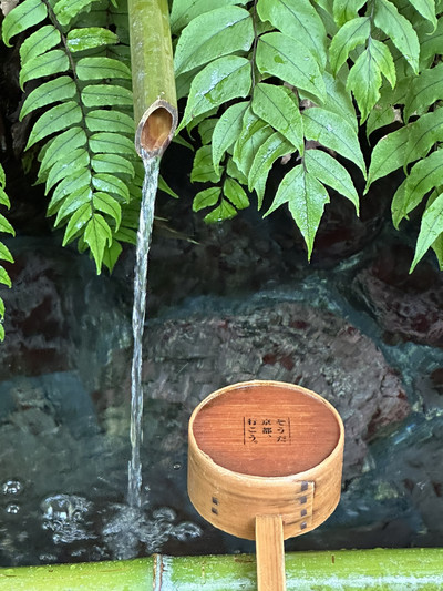 ˏˋ 石段×赤い灯籠が美しい貴船神社 ˎˊ˗ | Trip.com 京都