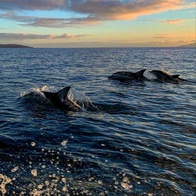 The Wonders of Auckland and Waiheke Island