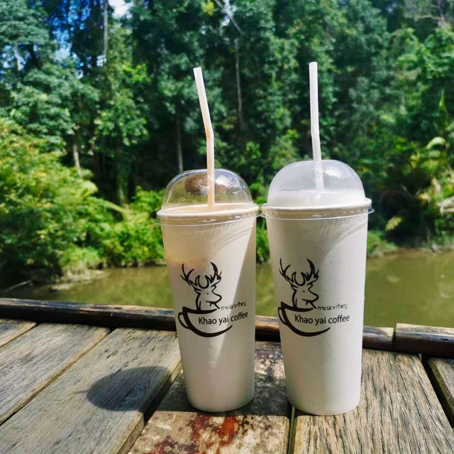 เขาใหญ่ ที่เที่ยวธรรมชาติใกล้กรุง 🌿⛰️