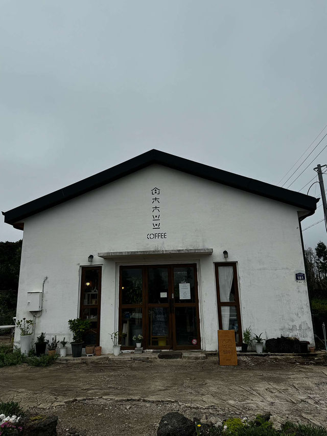🍏🌈제주 귤 창고 에그타르트 맛집 청춘 부부 