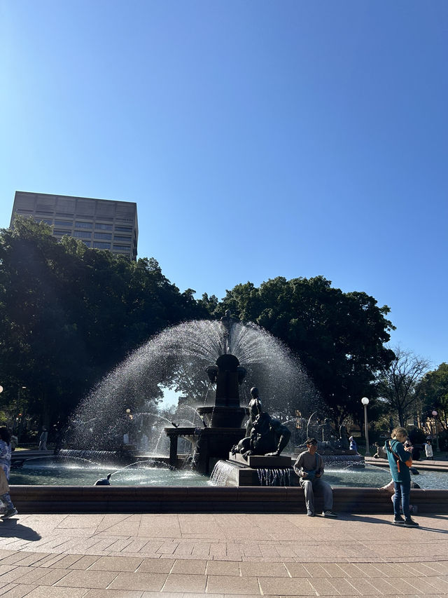 호주 시드니 “아치볼드 분수”⛲️