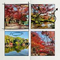 清流公園：詩意之地 🍂