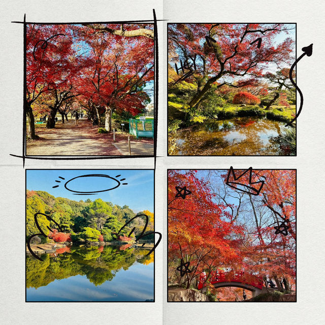 清流公園：詩意之地 🍂