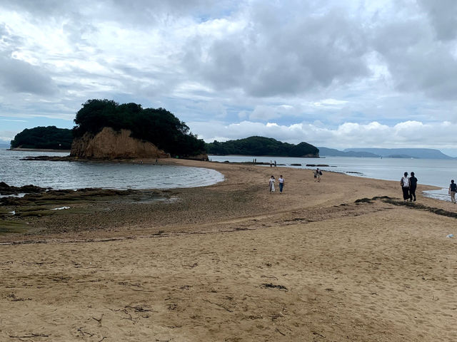 オリーブの島🫒小豆島