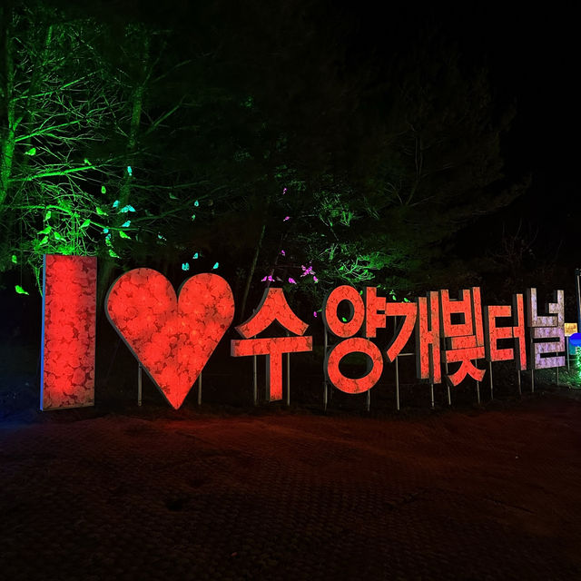 겨울 밤하늘의 별빛을 담은 동화 속 세상, 단양 수양개빛터널🌈