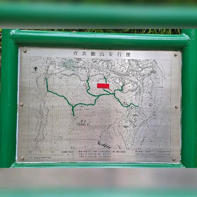 青衣無敵景觀郊遊路線😎