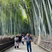 Lost in Arashiyama’s Magical Bamboo Forest!
