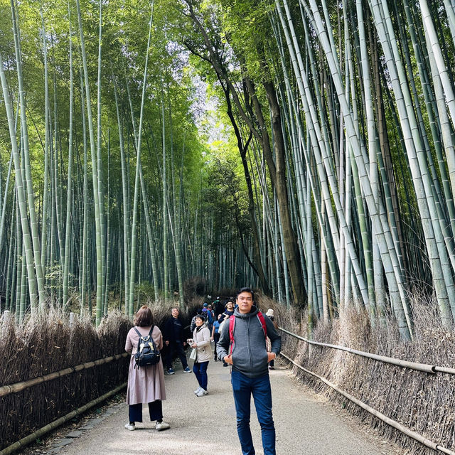Lost in Arashiyama’s Magical Bamboo Forest!