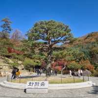 경기도 광주 여행 가을 단풍 화담숲