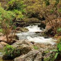 น้ำตกคลองลาน อลังการสายน้ำกลางป่าใหญ่