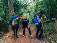 วิวเขาหลวงสุโขทัย จุดกางเต้นท์ที่คนนิยมมา🏔️🌳