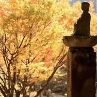 雷山千如寺大悲王院，超過1300年歷史