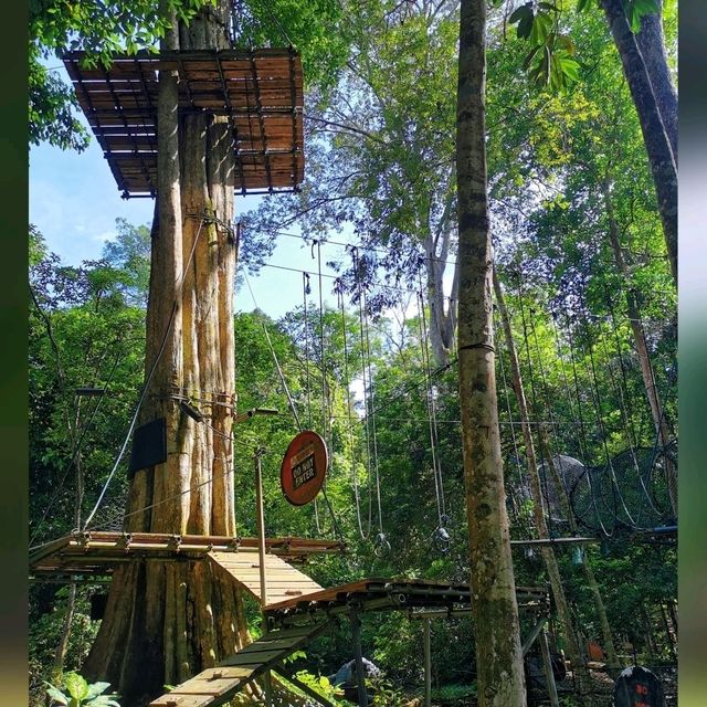 An adventurous & funfull day @ SKYTREX Adventure Melaka! 🌿🐒🍃🦋🌳