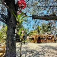 A Day of Adventure on Gili Air