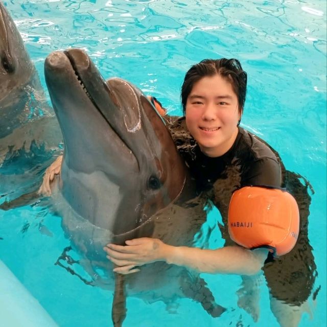 Pattaya Dolphinarium: A Fun and Educational Experience for All Ages