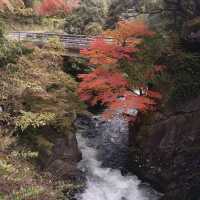 筑紫耶馬溪，擁有清澈的溪流和獨特的紅葉美景