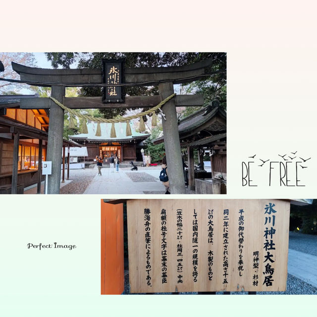 喺川越逛老街，一定唔可以錯過冰川神社🍡