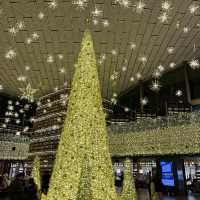 A Stunning Cultural Gem: Starfield COEX Library