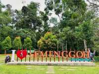 Experiencing Semenggoh Wildlife Centre
