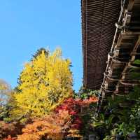 賞楓秘境推薦〔圓教寺摩尼殿〕， 莊嚴幽靜的千年古寺