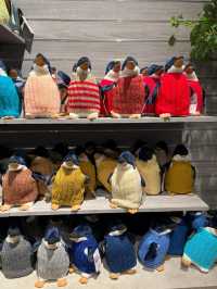 Phillip Island: Wildlife Wonders and Coastal Beauty