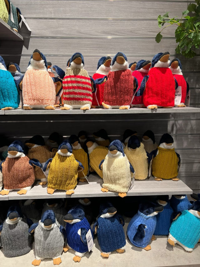 Phillip Island: Wildlife Wonders and Coastal Beauty