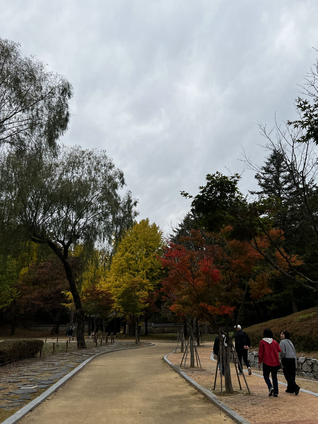 서울 근교 가을 핫플, 은행나무 길, 단풍 명소