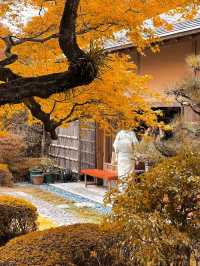 福岡松風園行程全攻略🥰楓葉觀景超美❤️