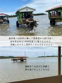 【由布島】西表島から水牛車に乗って行く！コンパクトな島を散策しよう