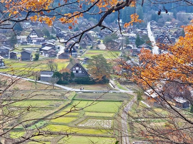 走進童話世界 - 秋天の白川鄉合掌村
