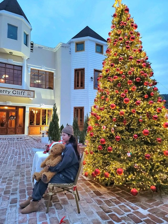 대형트리가 있는 거제도 크리스마스카페🎄
