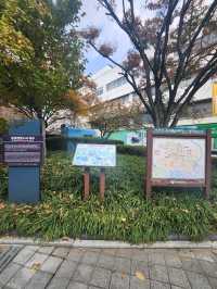 연인과 가을에 힐링하기 좋은 경상감영공원🍂