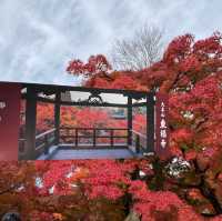 🍁京都楓紅的天花板「東福寺 通天橋」