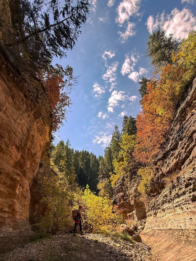 A Day of Canyon Climbing in Arizona
