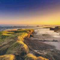 Wadden Sea National Park