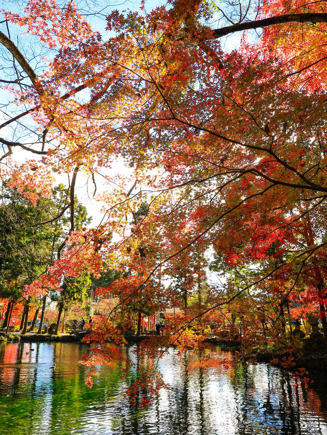 📍 【栃木】静寂な水辺に映る紅葉🍁 