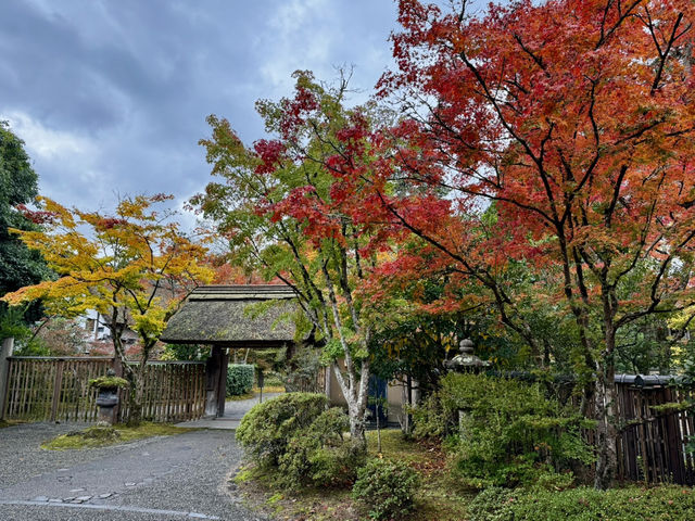 Autumnal vibes at Yufuin