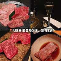 10 Location ร้านเนื้อย่าง Yakiniku in Tokyo🇯🇵
